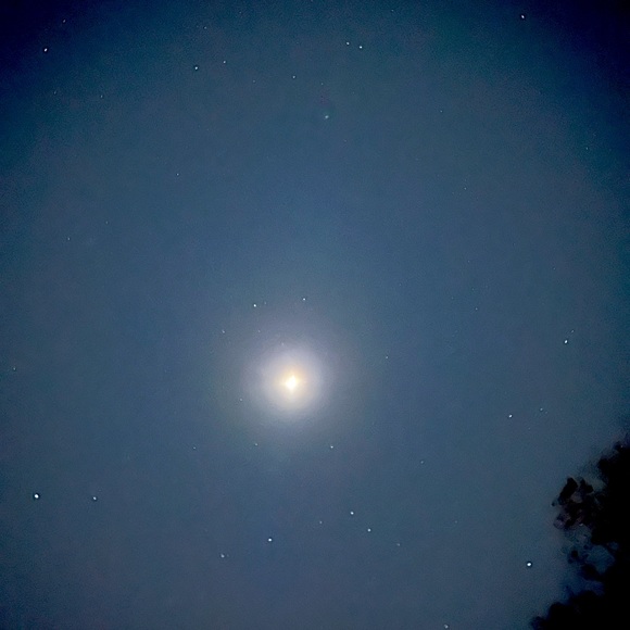 Meet your Posher, Jay. - Picture 1 of 1